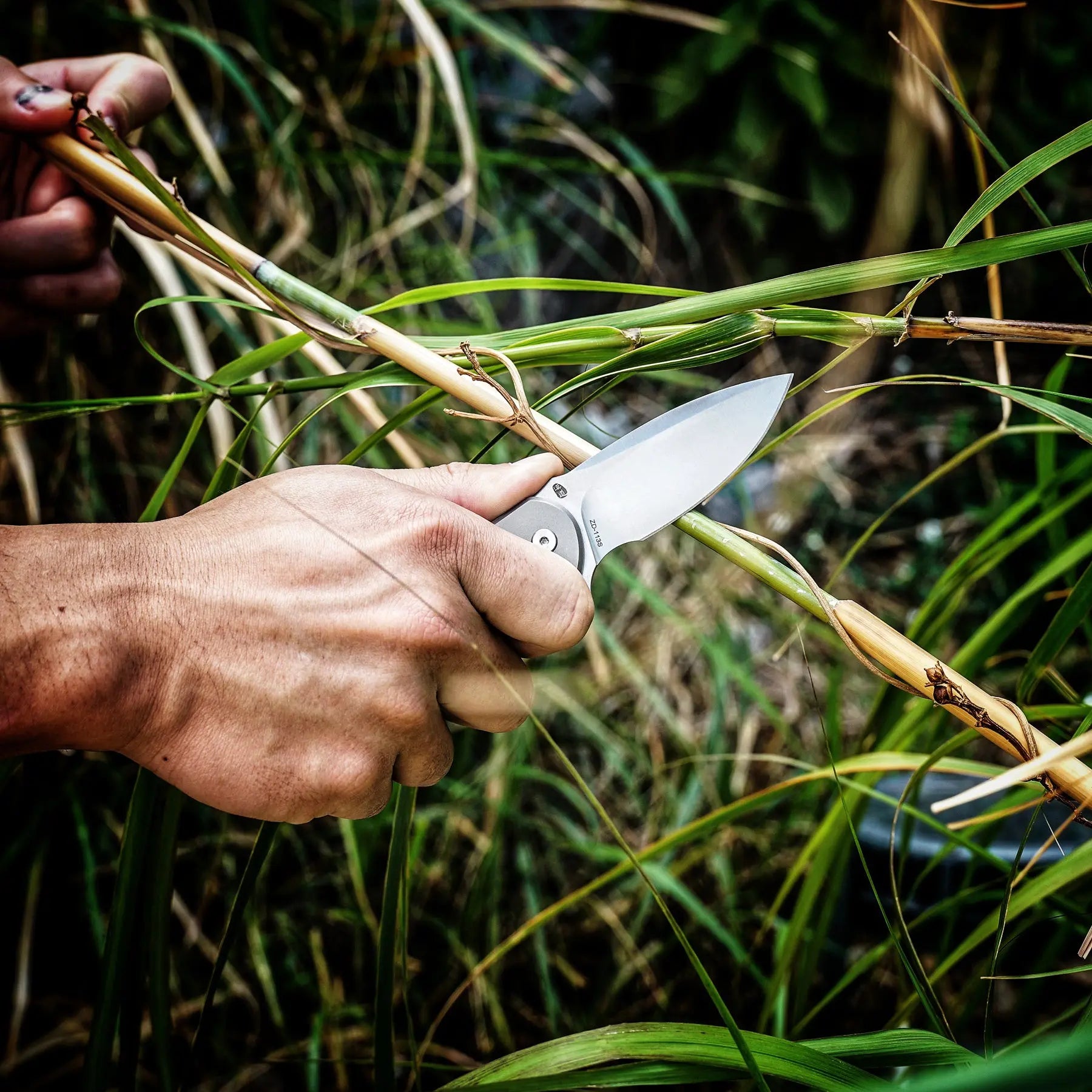 Pocket Knife HX OUTDOORS ROCK SAPPHIRE 2.4" D2 TITANIUM Drop Point Pocket Knife Camping Outdoor ZD-113S from HX OUTDOORS