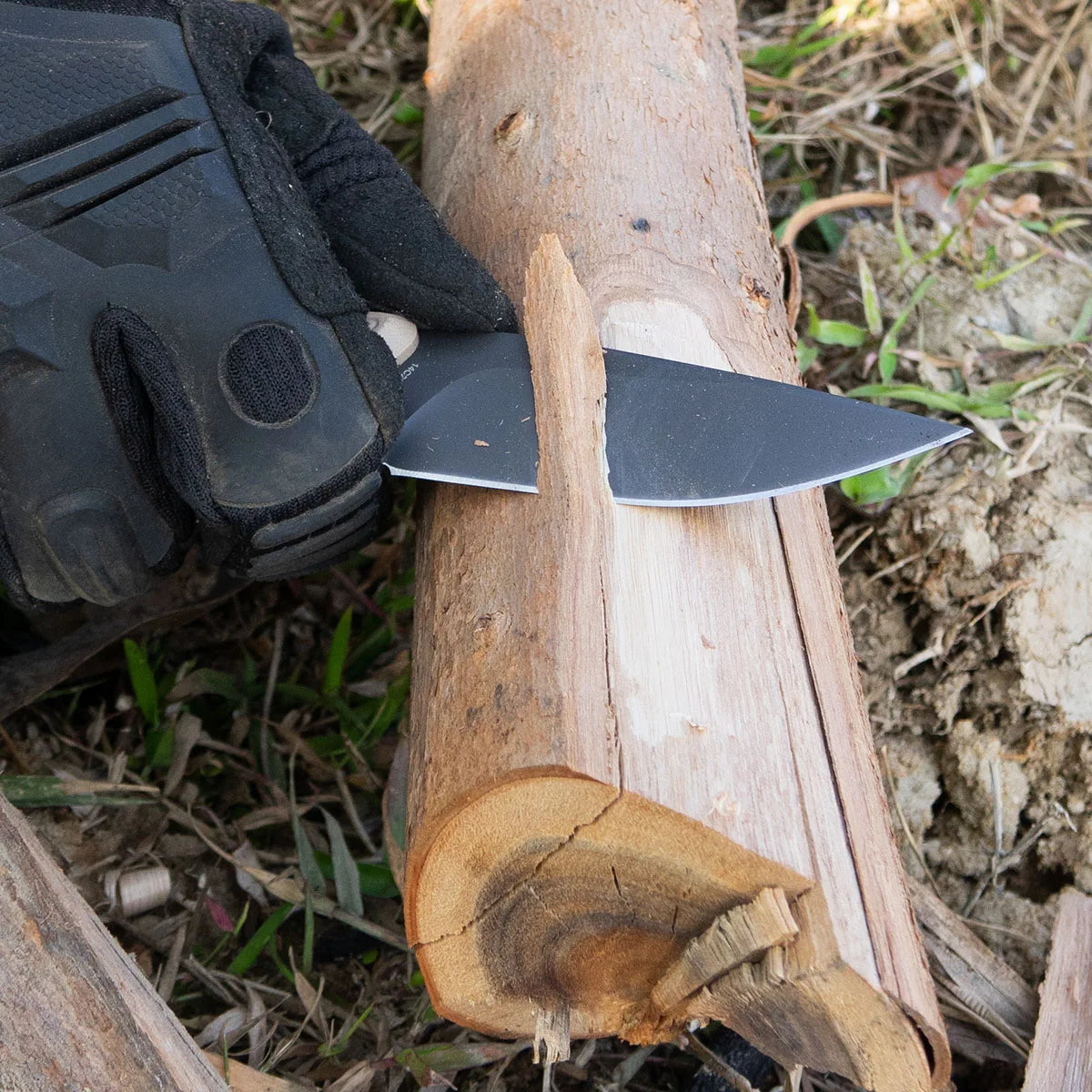 MAVERICK Fixed Blade | 2.95" Titanium Coating 14C28N Blade | Gary G10 Handle | HX OUTDOORS D-354B