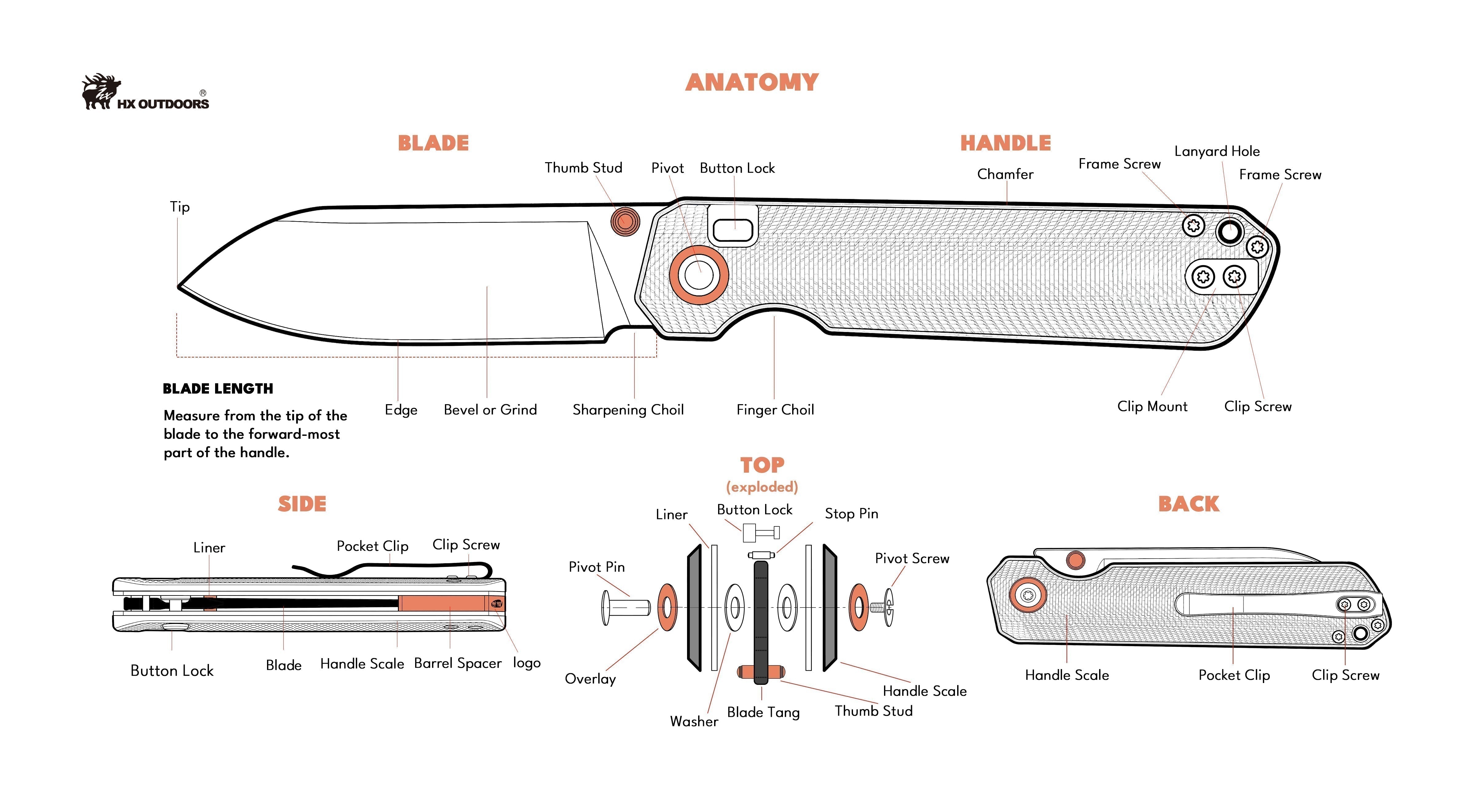 Pocket Knife Anatomy: Every Part Explained for Knife Lovers