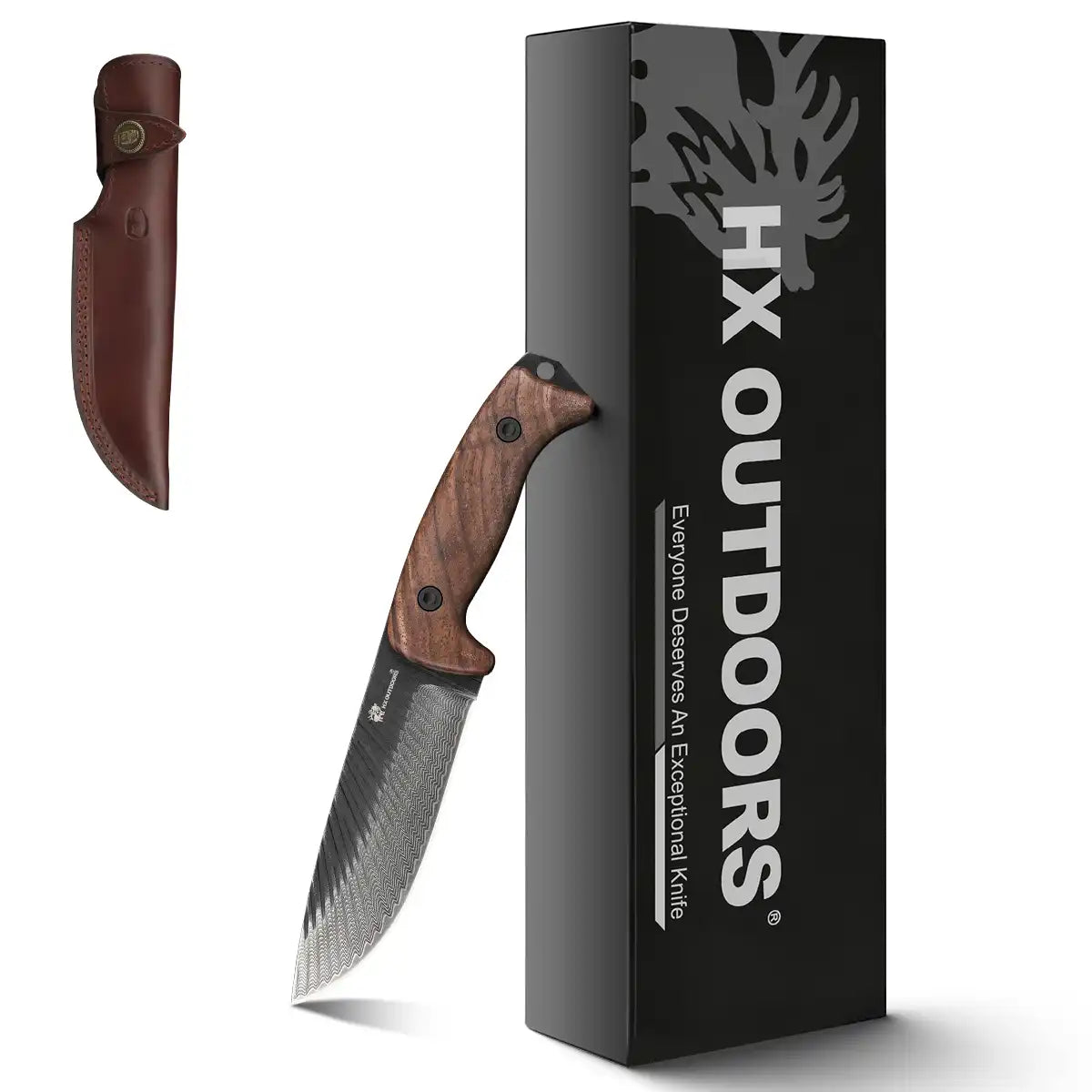 JUNGLORD Fixed Blade | 5.59'' 90Cr18 Blade | Walnut Handle | HX OUTDOORS D-340