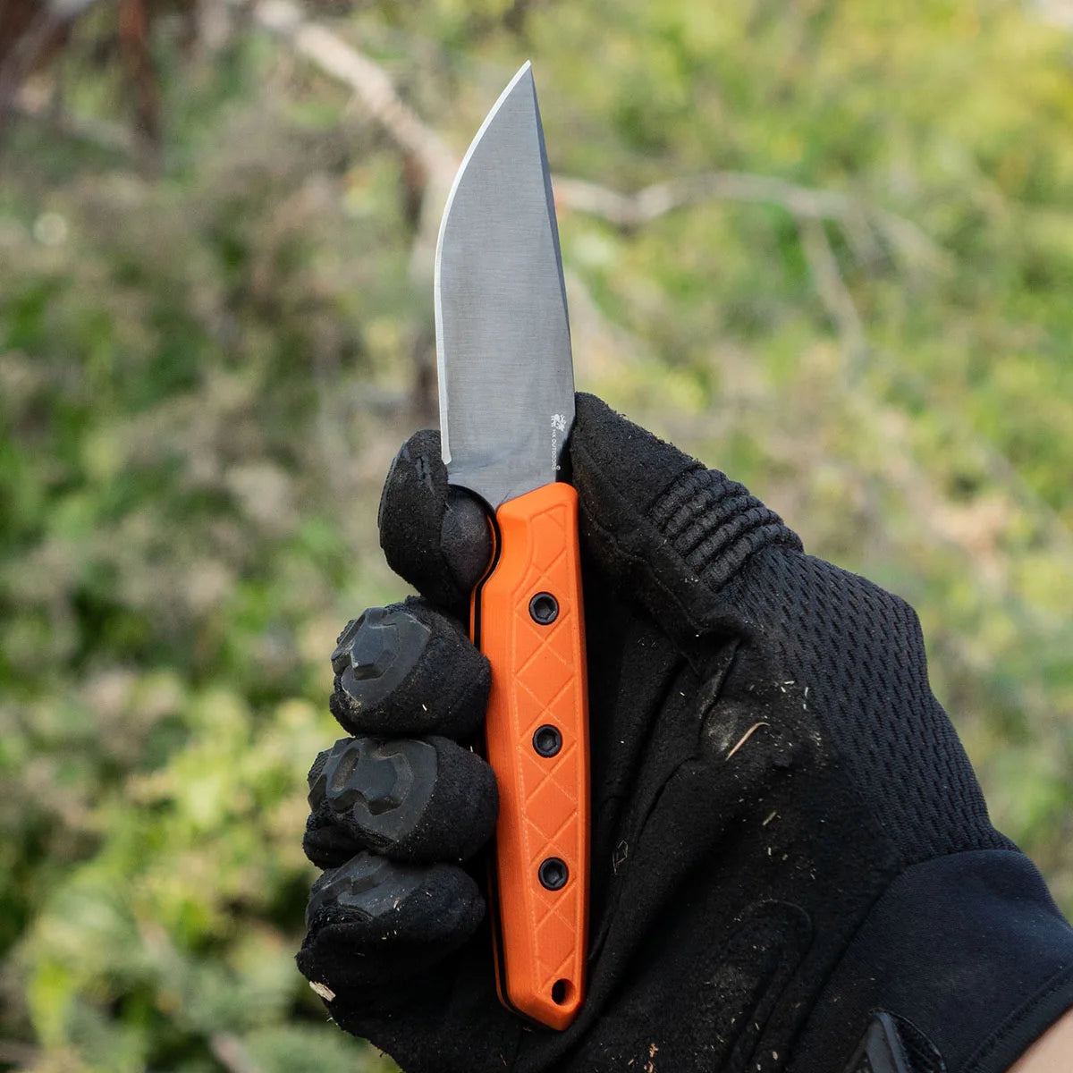 MAVERICK Fixed Blade | 2.95" DLC 14C28N Blade | Orange G10 Handle | HX OUTDOORS D-354D
