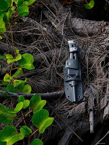 Unlock Our Latest Product Catalog