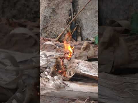 HOUND Fixed Blade | 4.33" D2 Blade | Brown PP & TRP Handle | HX OUTDOORS D-305A