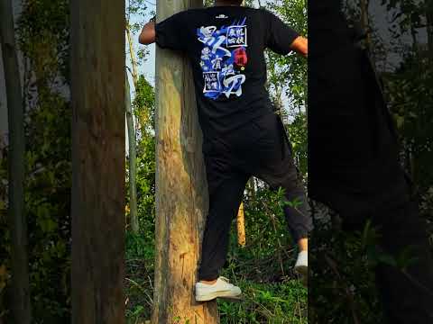 COMMANDER | DC53 | FLAXEN LINEN | D-304