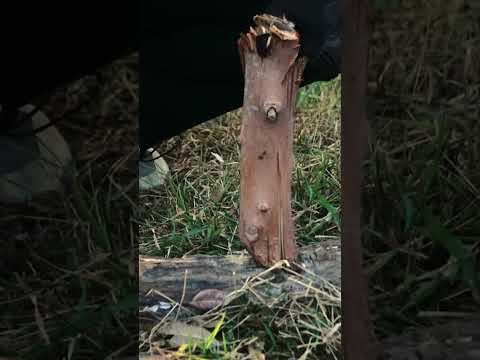 HX OUTDOORS SURVIVAL MASTER 4 Fixed Blade TD-21E
